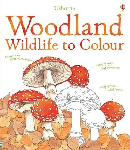 کتاب Usborne Woodland Wildlife to Colour